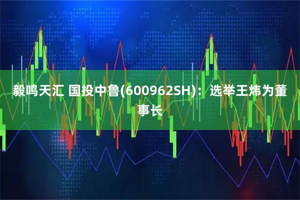 毅鸣天汇 国投中鲁(600962SH)：选举王炜为董事长
