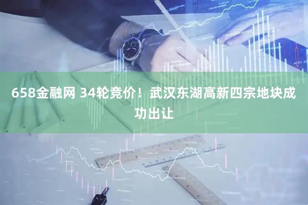 658金融网 34轮竞价！武汉东湖高新四宗地块成功出让
