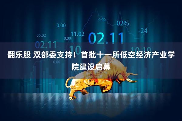 翻乐股 双部委支持！首批十一所低空经济产业学院建设启幕