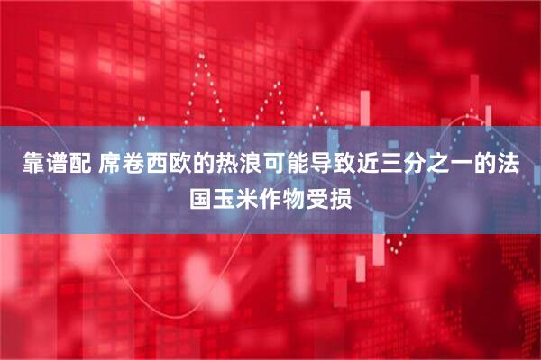 靠谱配 席卷西欧的热浪可能导致近三分之一的法国玉米作物受损