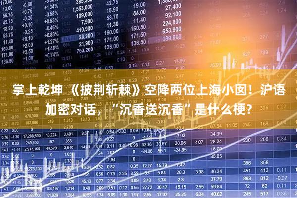 掌上乾坤 《披荆斩棘》空降两位上海小囡！沪语加密对话，“沉香送沉香”是什么梗？