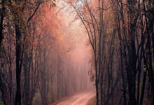 怎么开通股票杠杆交易:正规配资平台-7.9元早餐套餐被嫌贵？蜜雪冰城回应：目前没有收到价格调整通知